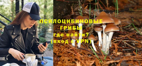 ALPHA PVP Алексин