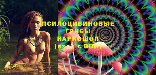ПСИЛОЦИБИНОВЫЕ ГРИБЫ Алексеевка