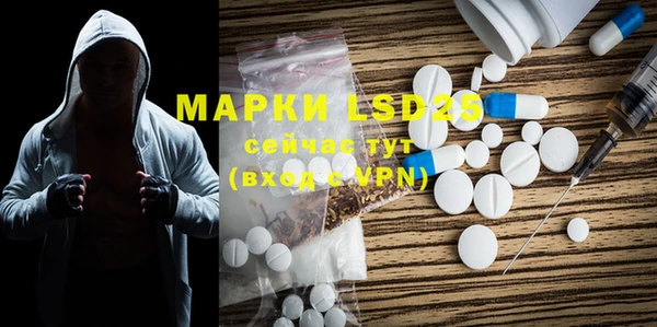 ПСИЛОЦИБИНОВЫЕ ГРИБЫ Алексеевка