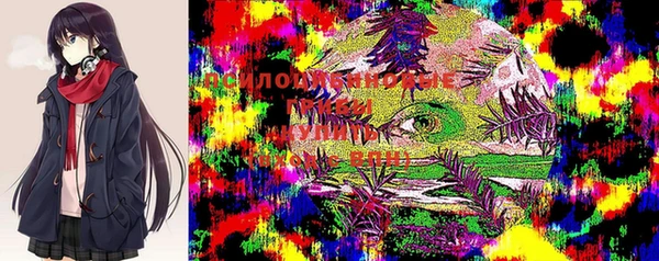 ПСИЛОЦИБИНОВЫЕ ГРИБЫ Алексеевка