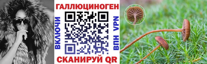 kraken как войти  Лаишево  Псилоцибиновые грибы Psilocybe  магазин   